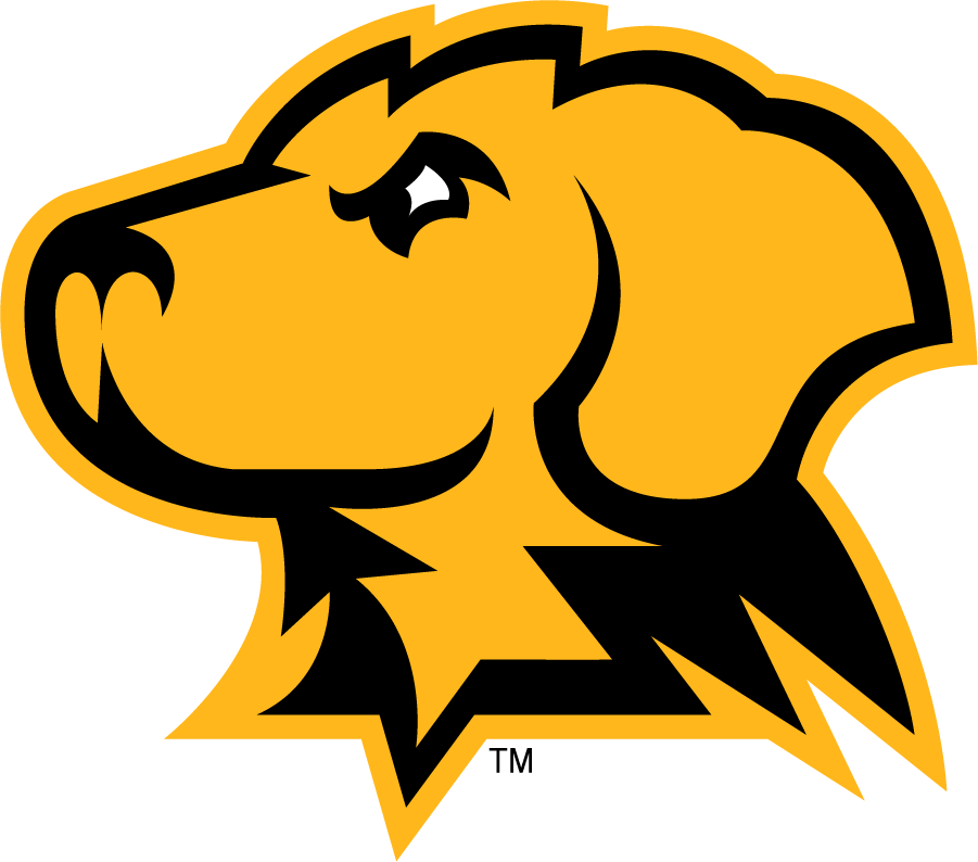 UMBC Retrievers 2010-Pres Alternate Logo v3 diy DTF decal sticker